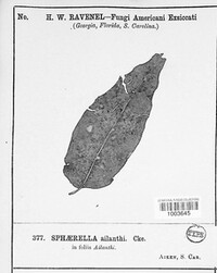 Image Associated With the Occurence